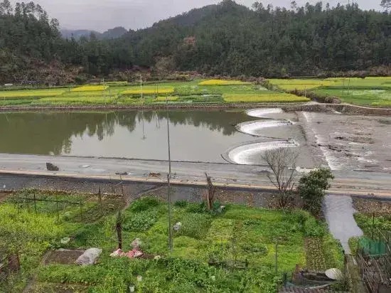 Xingxingyu Qixi Flower Garden