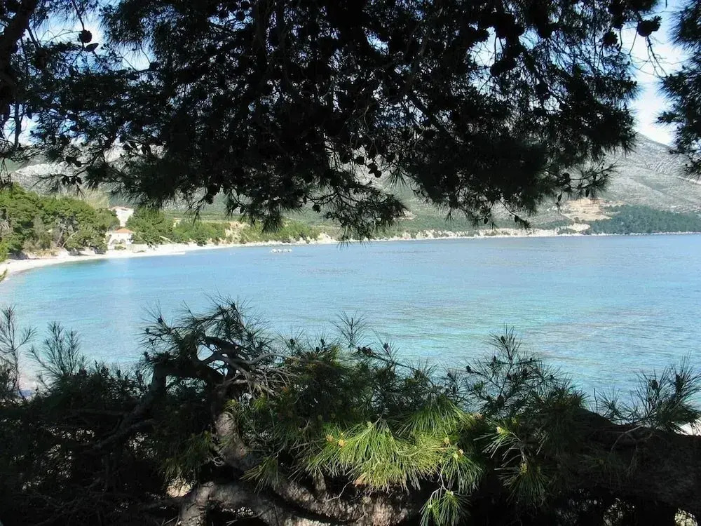 Lucky - 150m From the sea - SA2