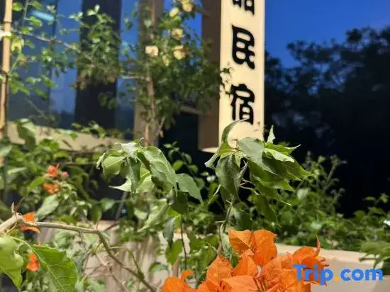 Hua Tian Homestay