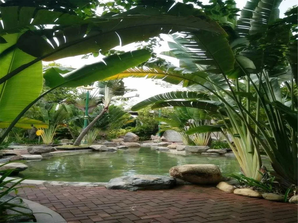 Sanya Little Fish Hot Spring Hotel