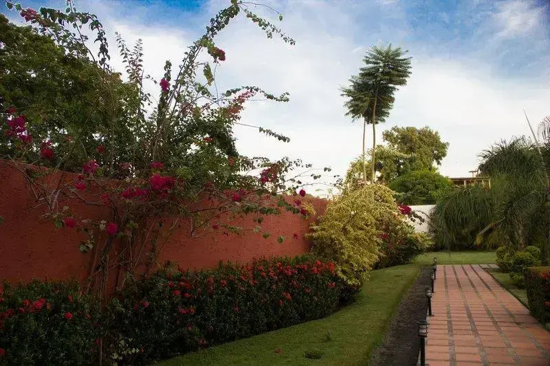 Hotel Plaza Real