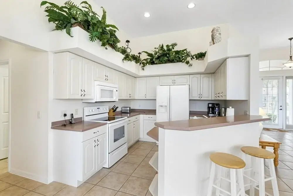 Ivory Home #13002