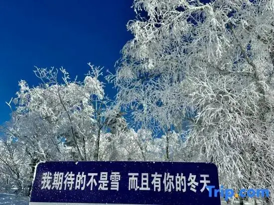Liu family compound in Snow Valley