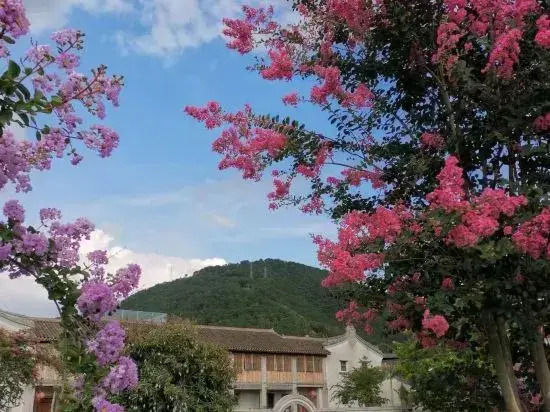 MeiZhou JZL  B & B