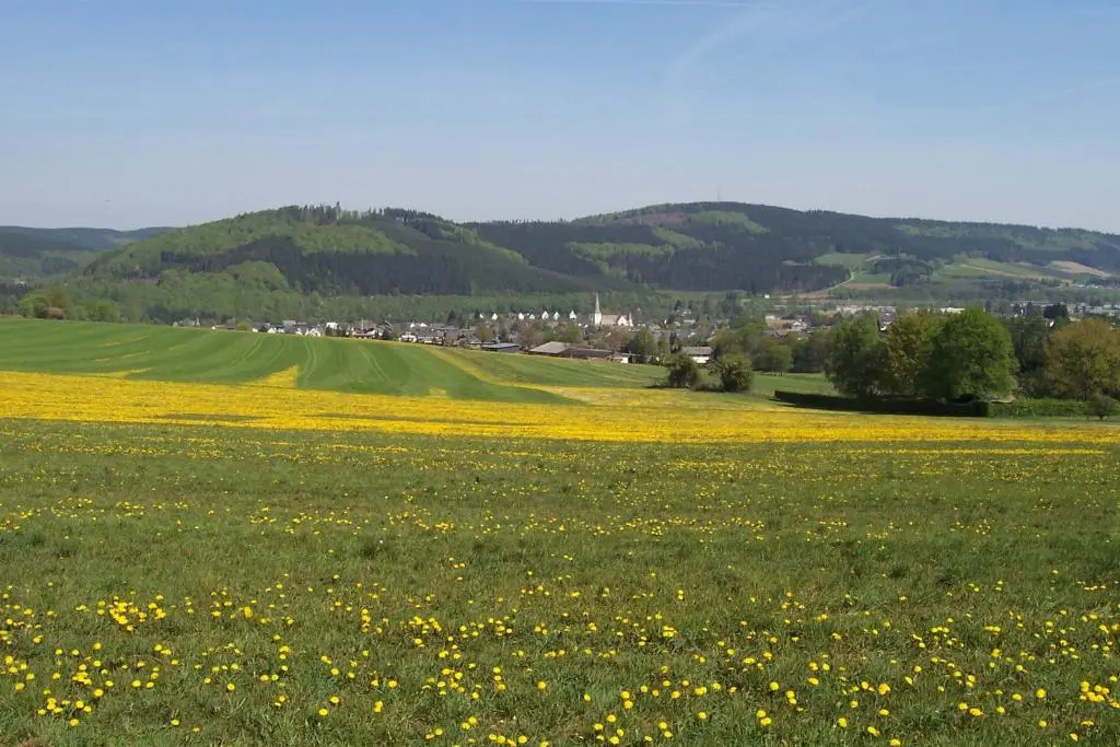 Ferienwohnungen Sauerland und Olsberg