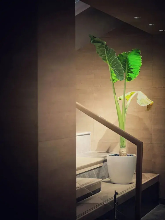 Hyatt Place Vijayawada