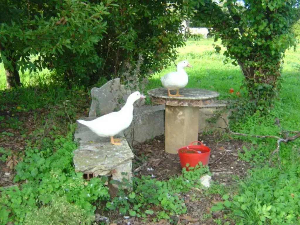 Quinta Do Scoto