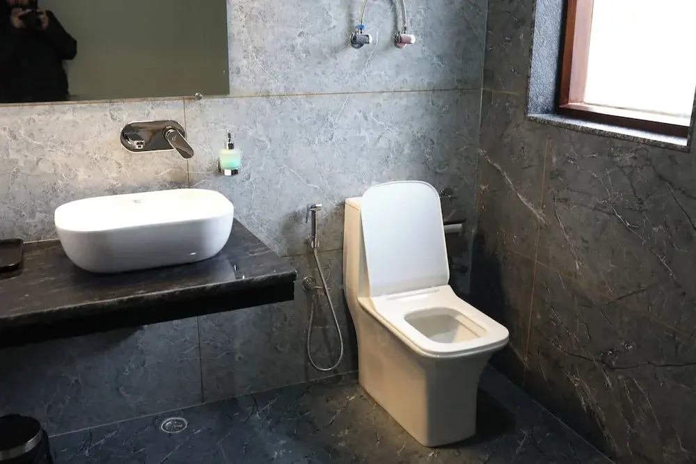 Tapovan Retreat Manali