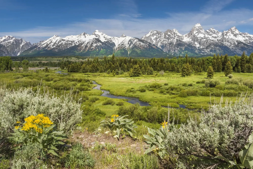 SpringHill Suites by Marriott Jackson Hole