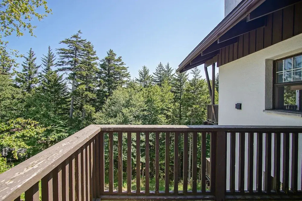 Whistlepunk #18: 4 Bedrooms, 3 Baths