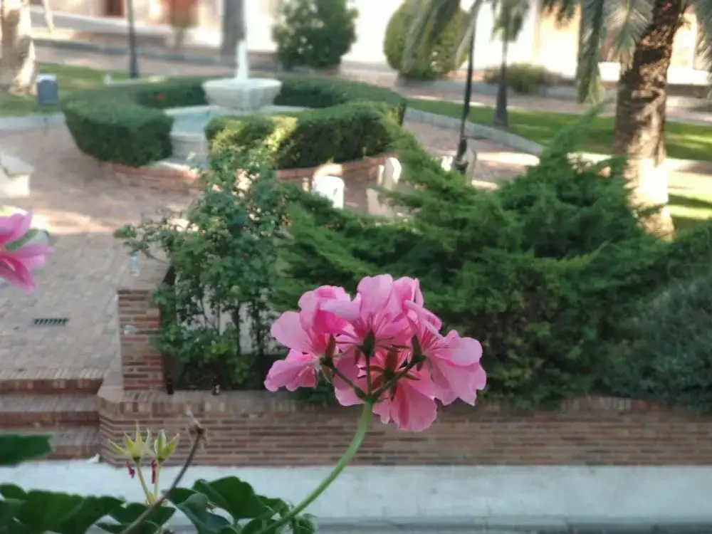 Apartamento Cabrera