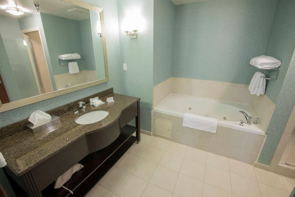 Hilton Garden Inn Atlanta South-McDonough