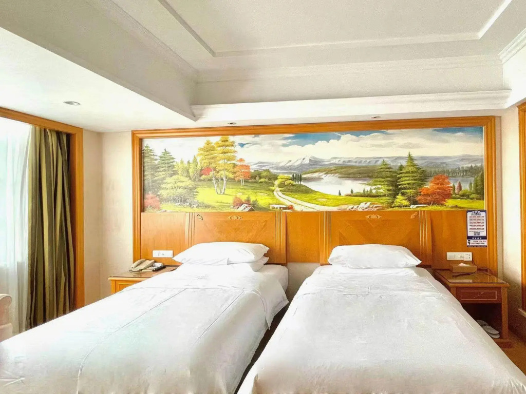 Vienna Hotel (Dongguan Dalingshan baihuadong store)