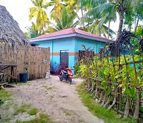 Arty Party Beach Hostel Dorm Room 5pax