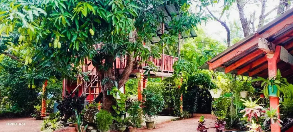 Sigiri Sky Home & TreeHouse