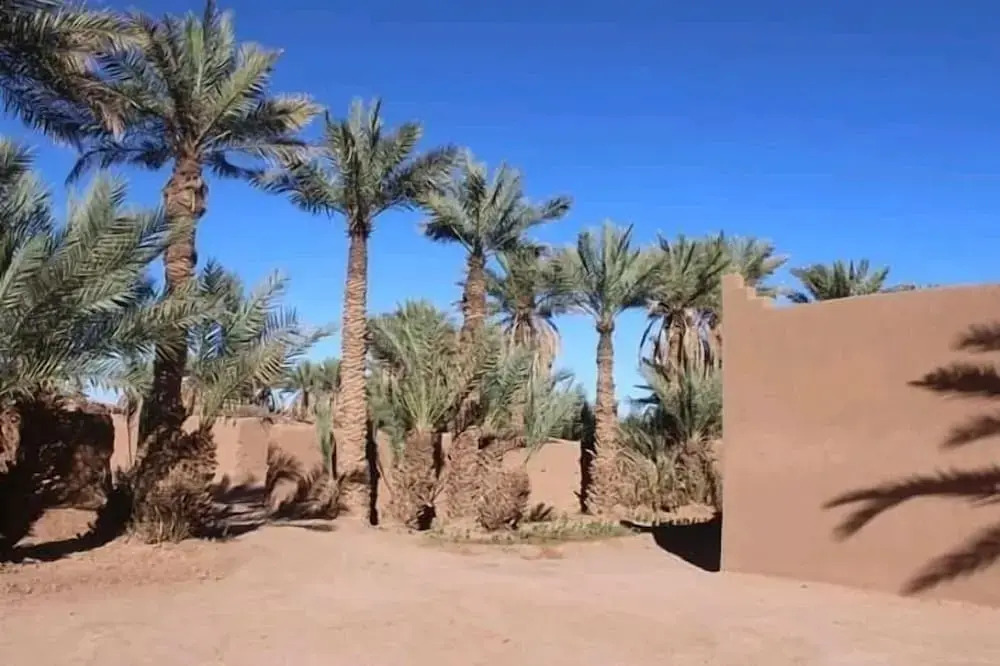 Desert Mhamid