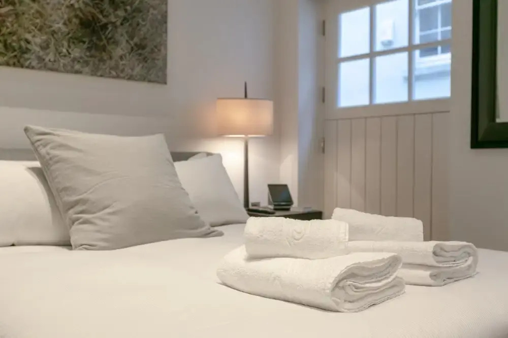 Mayfair 1 Bedroom Flat