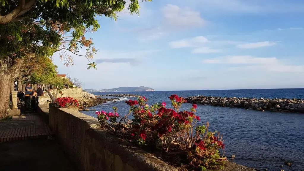 Petra Marina Suite