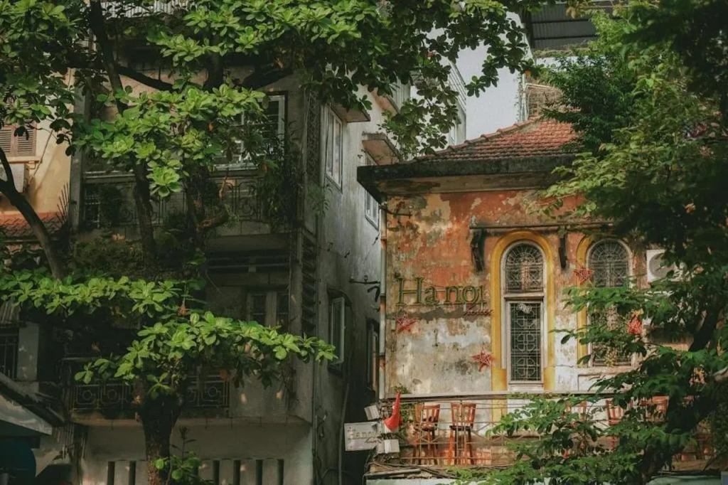 The Bloom Hanoi