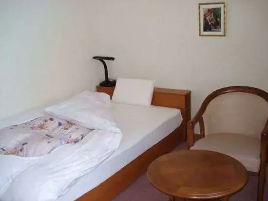 Business Hotel Big West