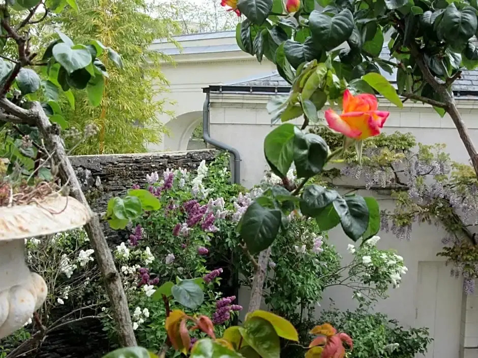 Chambre dHôtes Marchand