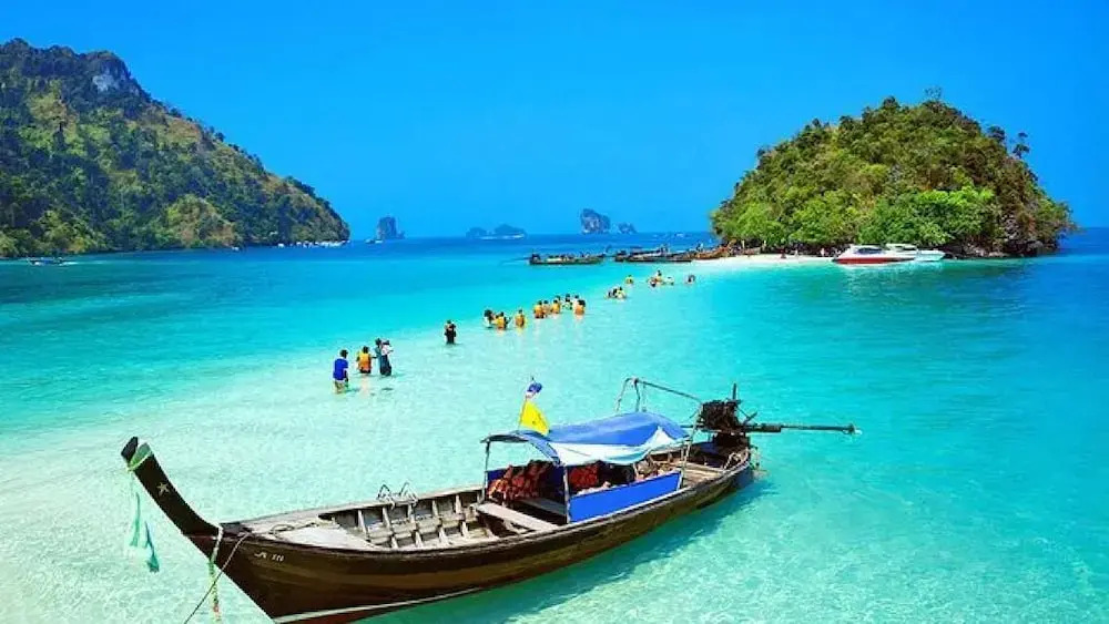 PARADIS VERT