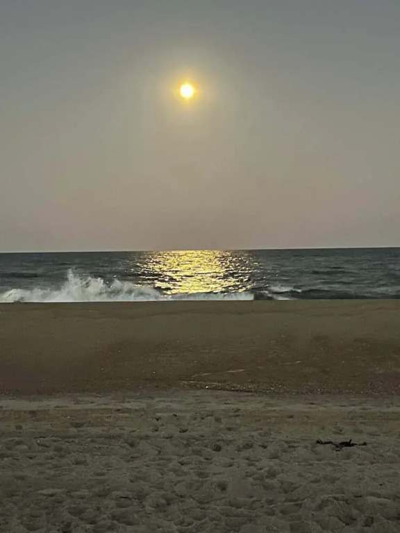 Beachwalk 20