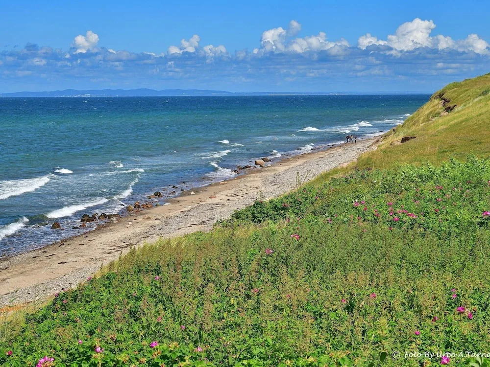 Pet Friendly Holiday Home in Dronningmølle near Sea