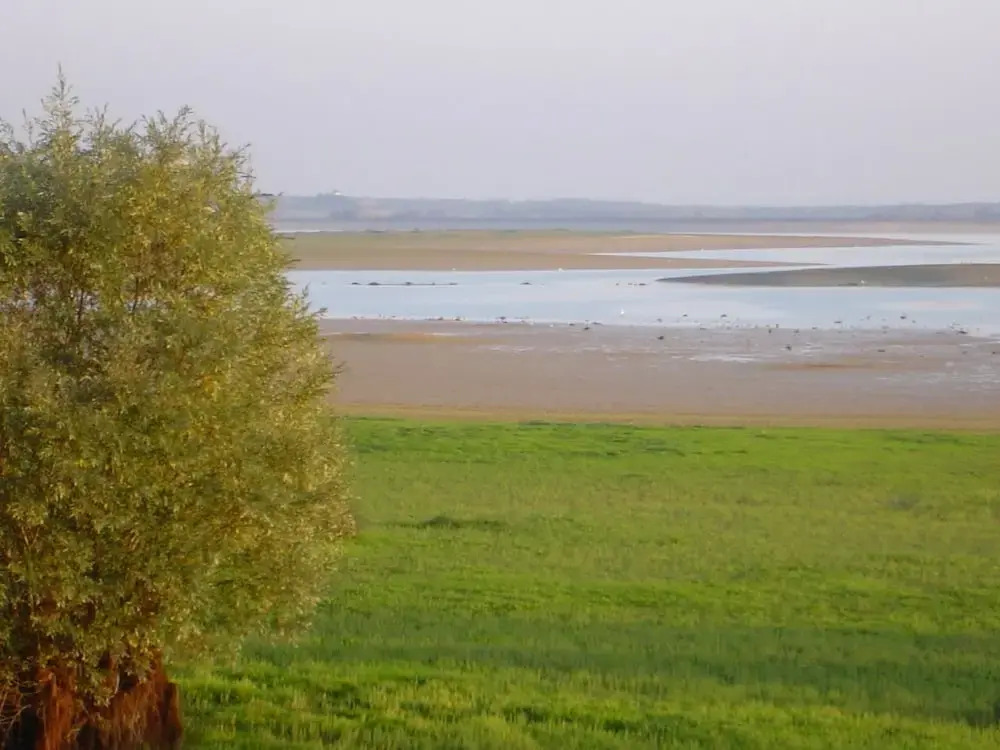 Roulotte des Elfes - Domaine du Der, au milieu de nulle part