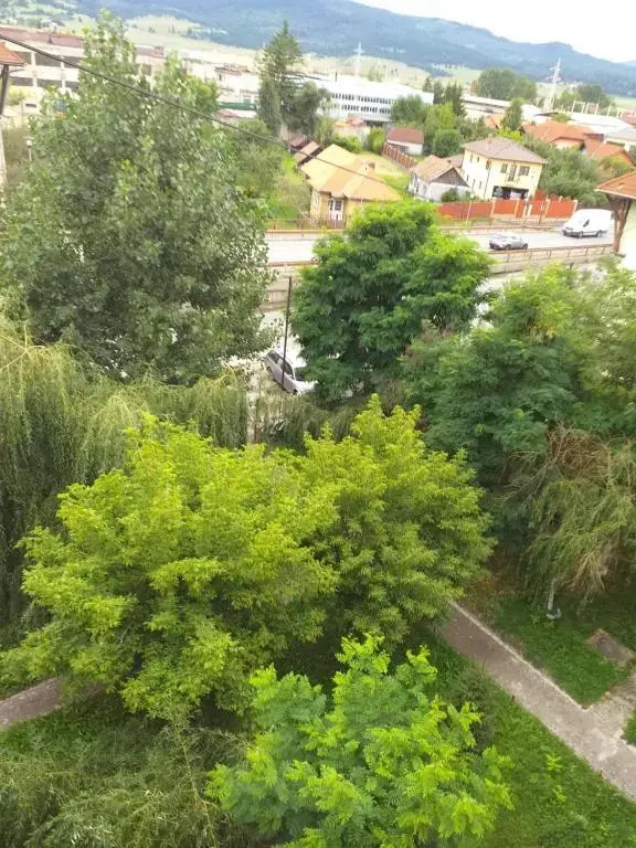 Oxigen Lux Apartment