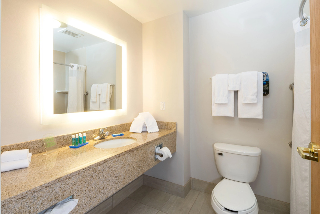 Holiday Inn Express Hotel & Suites Detroit-Utica by IHG