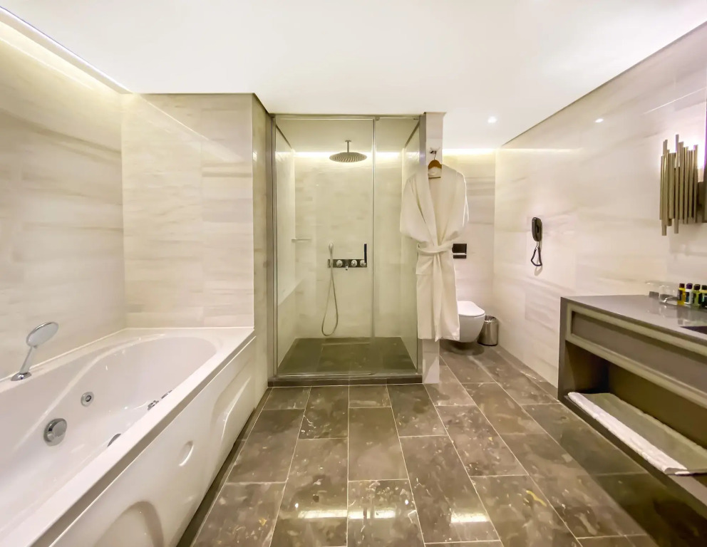 Hotel Anemon Aydin