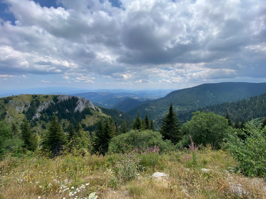 Kopaonik Župa 505 Wellness & spa