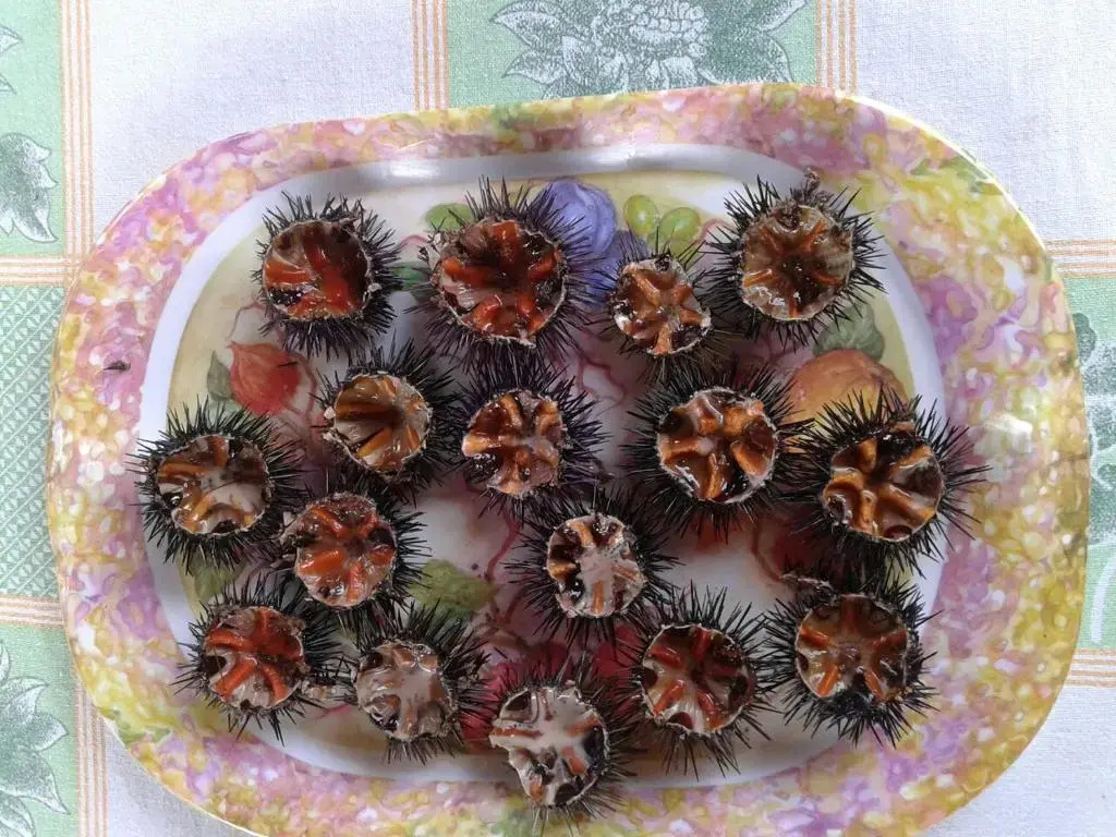 Perla del Salento