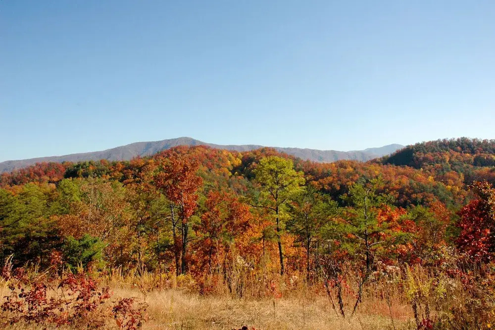 Brookstone Lodge - 6 Br Cabin