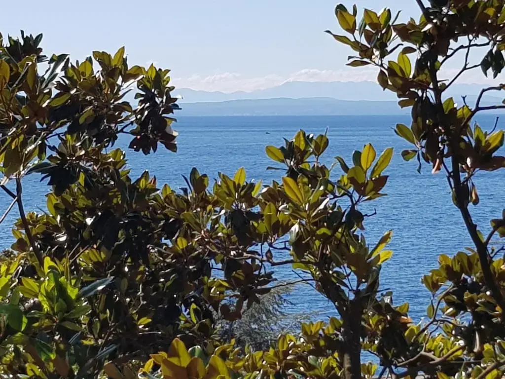 Sunny apartment 150 m from the sea