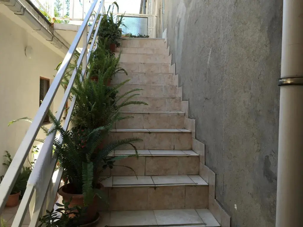 Apartments Jani