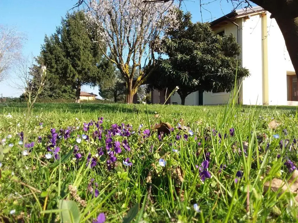 “Al Campo”