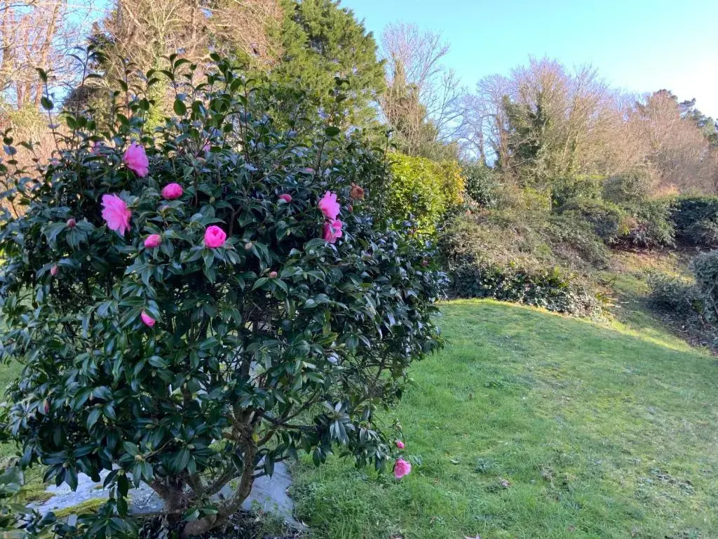 Maison Ty Traon -