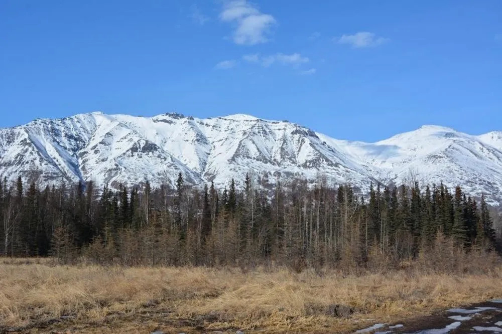 Moose Wallow Cabins