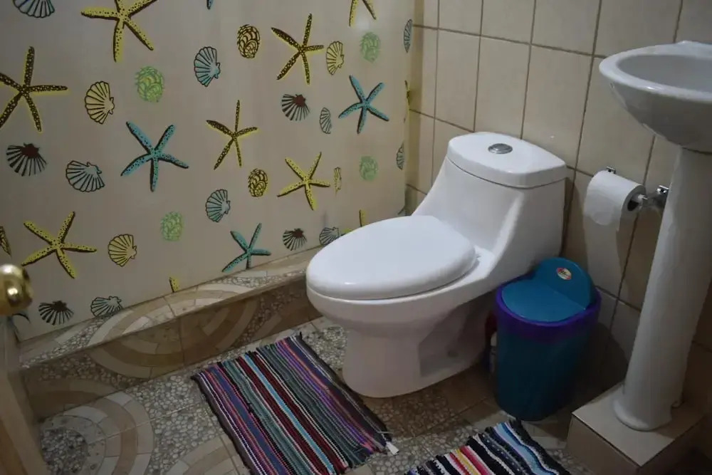 Casa turtle Bogue