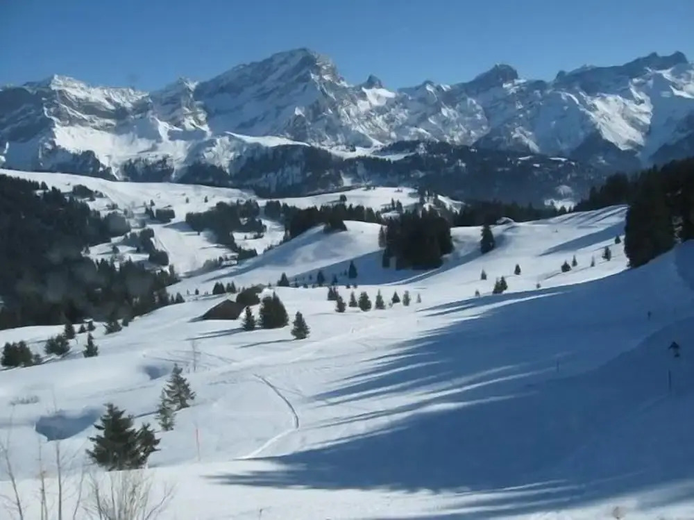 Appartement Bristol Villars-sur-Ollon