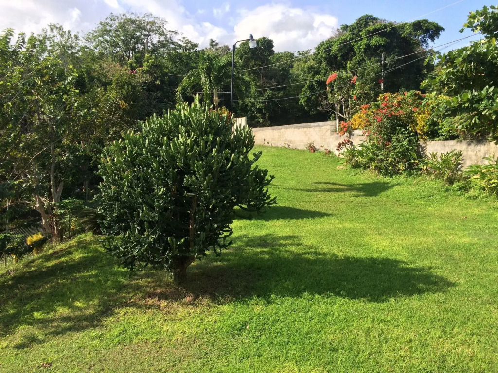 Teresinajamaica