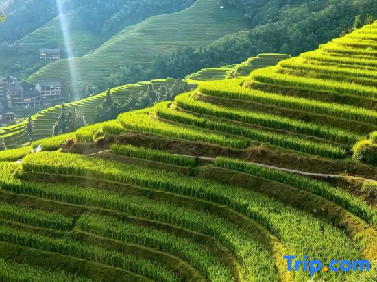 Longsheng Qishanyue Homestay (Qixing Banyue Viewing Platform)
