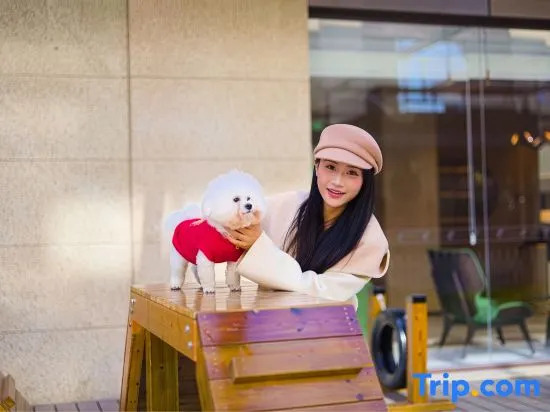 Holiday Inn Shanghai Tourism Zone by IHG