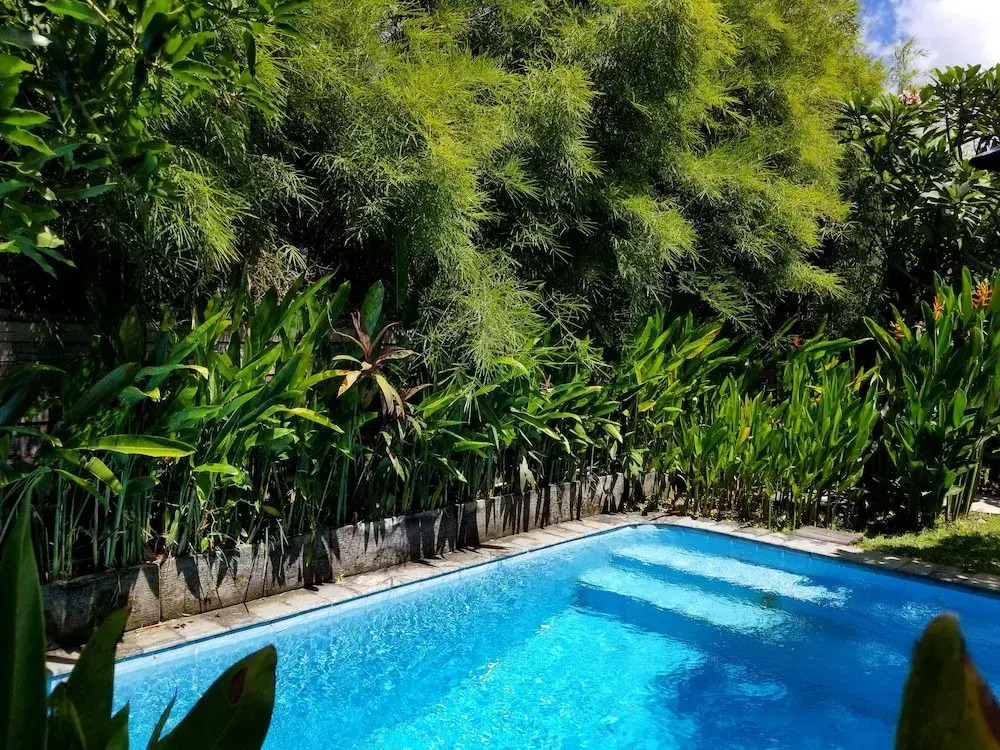 Kampoeng Bamboo