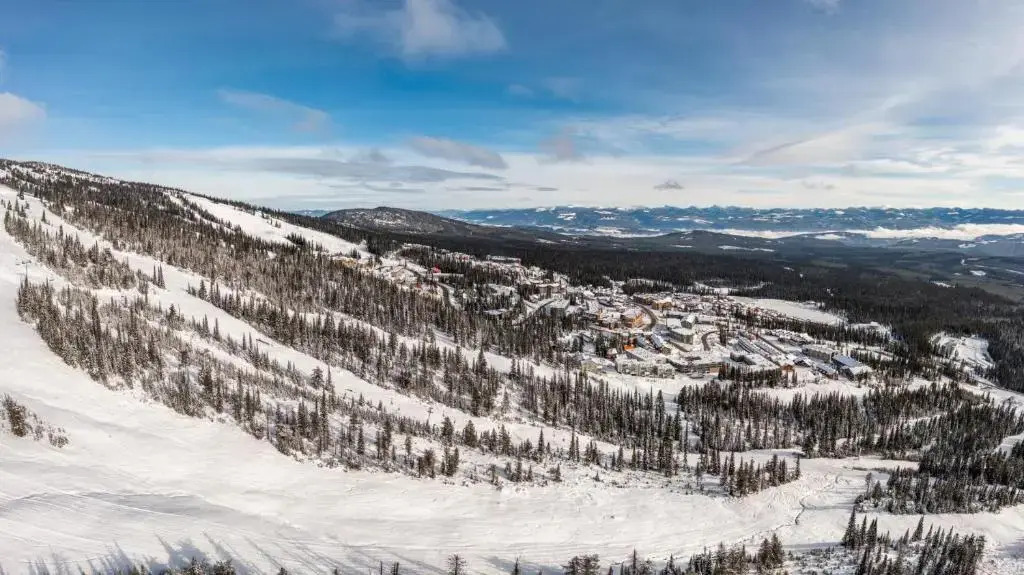 Nest on Perfection - Newly Renovated Ski In Ski Out Mountain View Condo