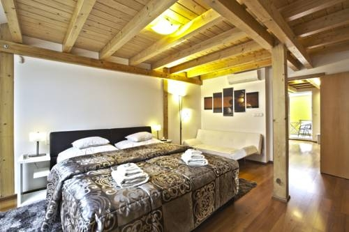 Apartment Attic Olivova
