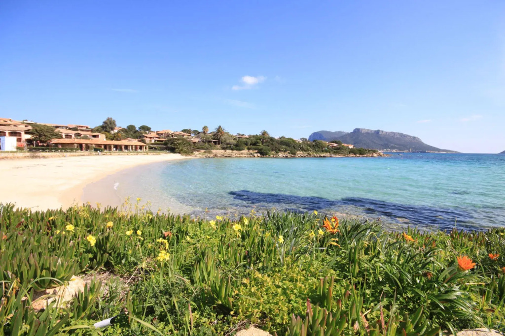It consists of a large living room with comfortable sofa bed for 2 persons, two double bedrooms with-S'ABBA DI SU