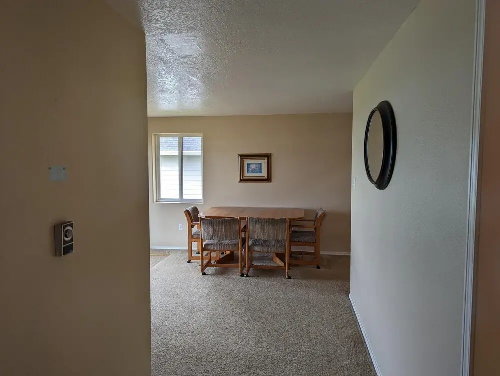 The Sandlake View